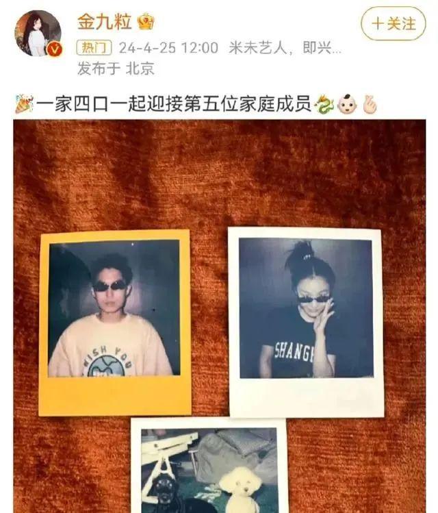 娱乐圈幸福婚讯大盘点K8凯发登录2024(图24)